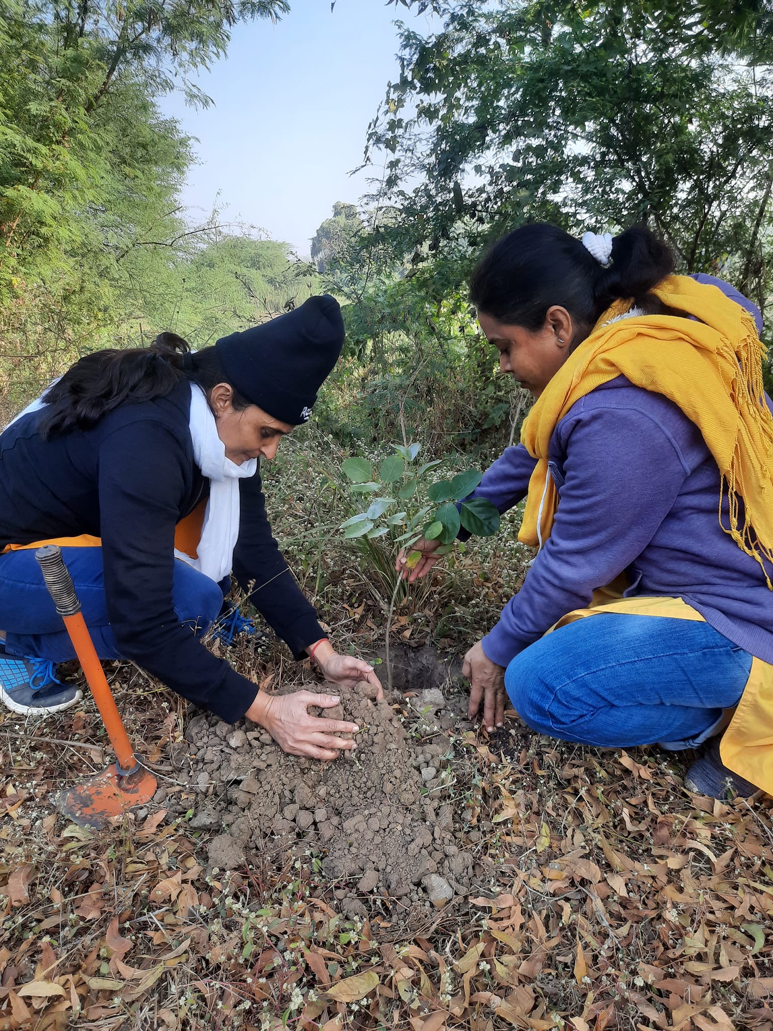 GPYG Vadodara Tree Plantation 332 GPYG