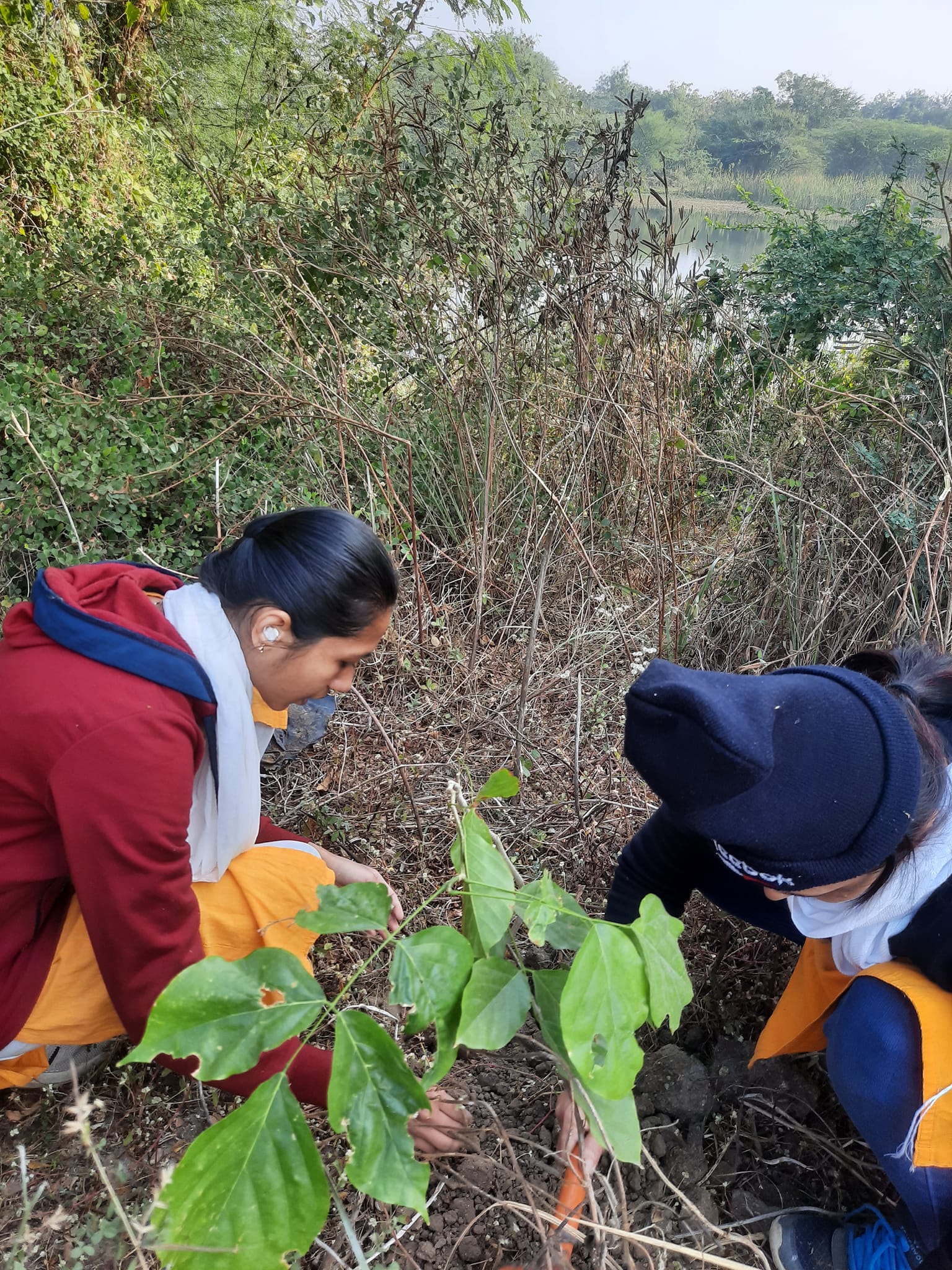 GPYG Vadodara Tree Plantation 332 GPYG